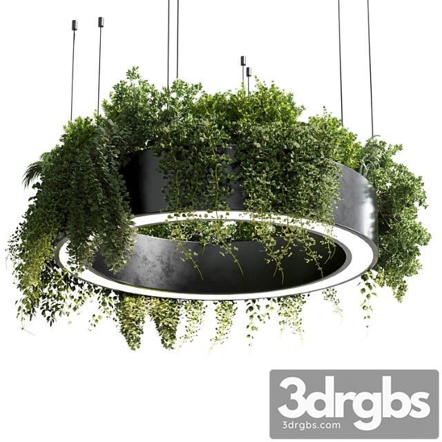 Circle pot light - pendant plant light hanging 05