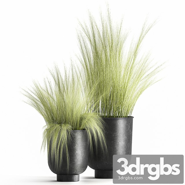 Collection of plants in black metal pots with bush grass grass. set 1004.
