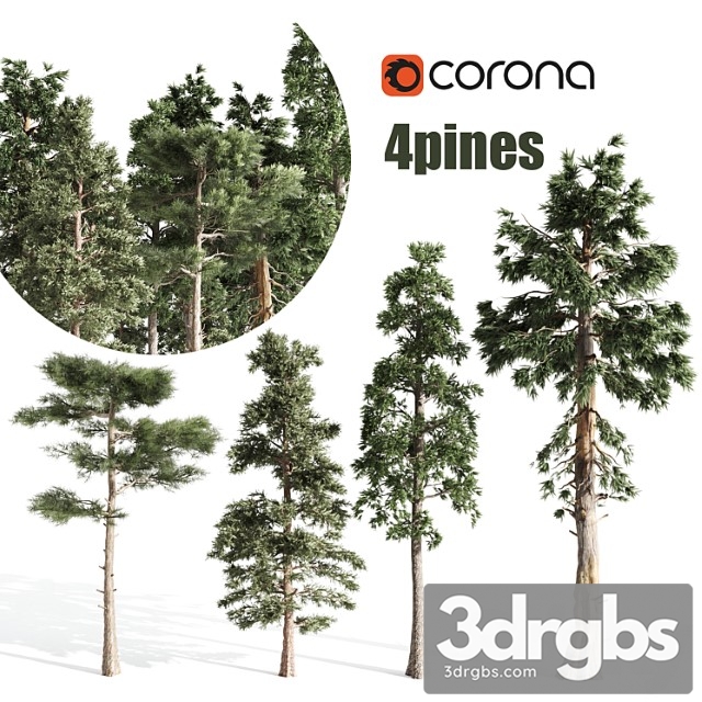 4 Pines Tree