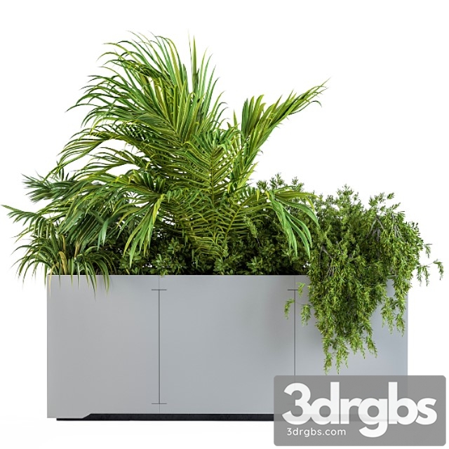 Gray Plants Box With Tropical Plant