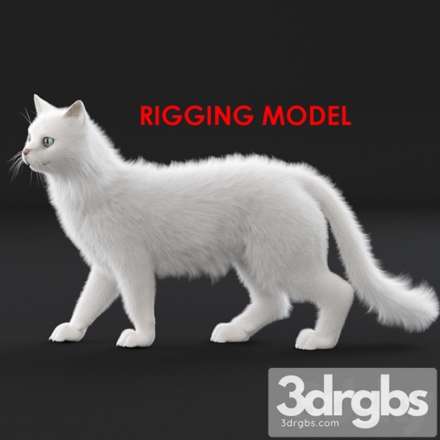 Creature White cat (rig)