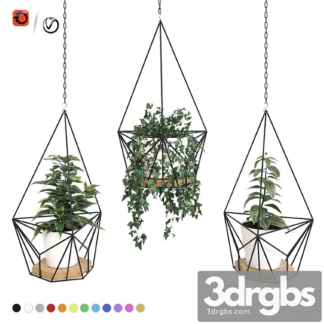 Plants in hanging flowerpots Archpole Shuttle 2