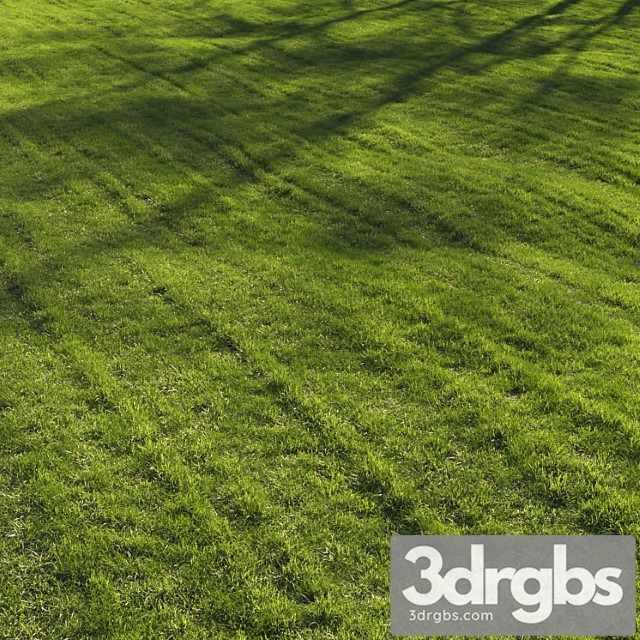 Grass lawn