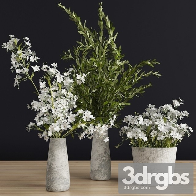 Flowers Vase Set 3