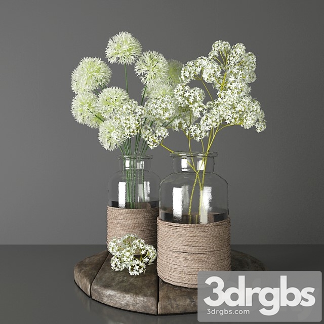 Bouquets 2 - decorative onions and gypsophila