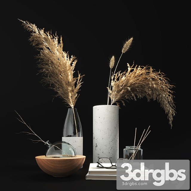 Decorative set with dry plants 01