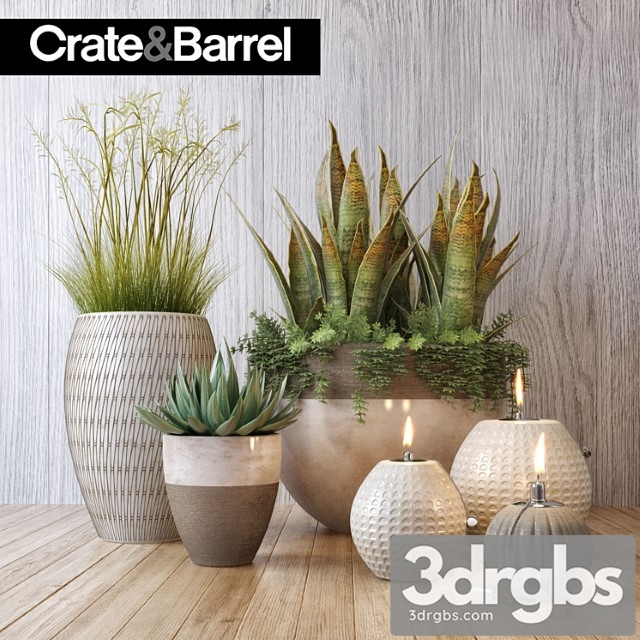 Crate Barrel Plant Set