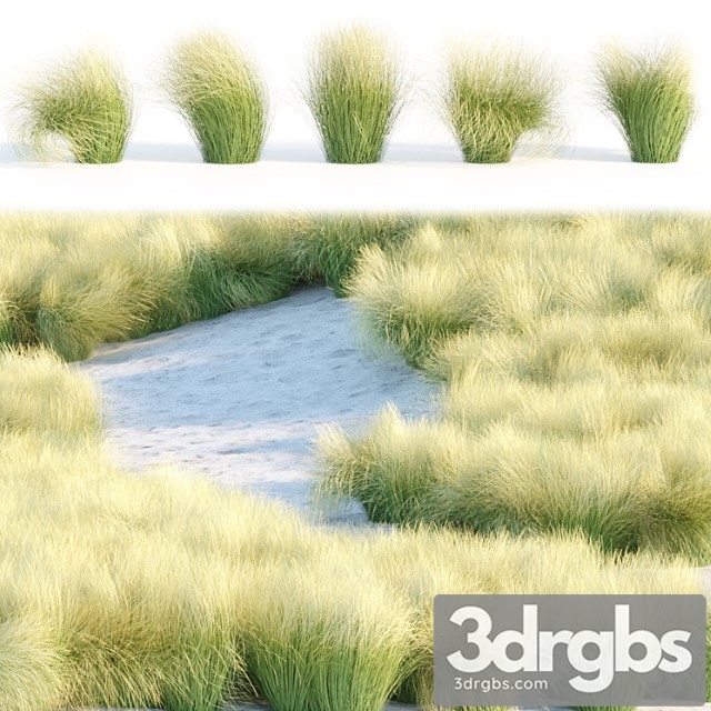 Maram Grass Collection Vol 155