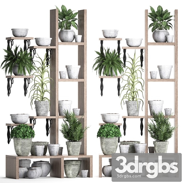 Plant collection 365. shelf with plants, aloe, flowerpot, greenery, vertical garden, concrete, eco design 2