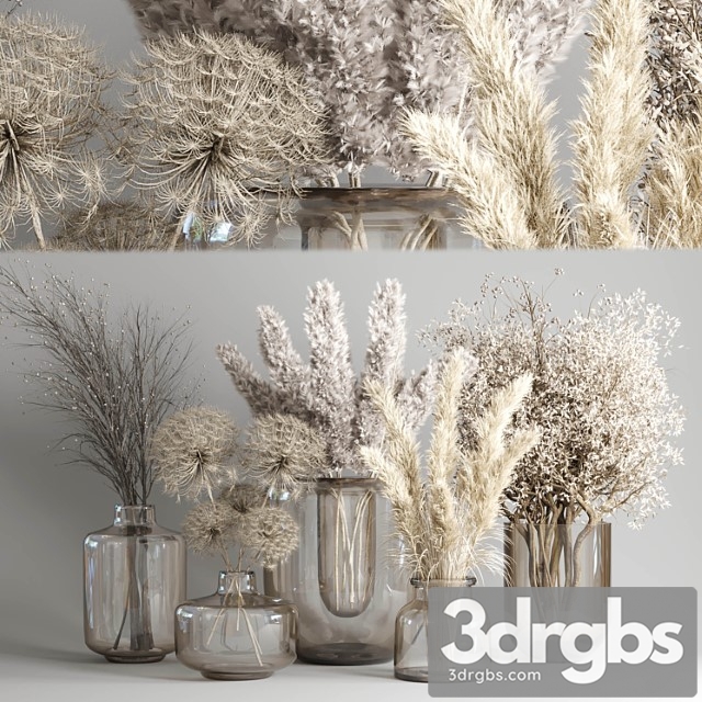 Dry bouquet collection 05 - dried autumn plants and flowers