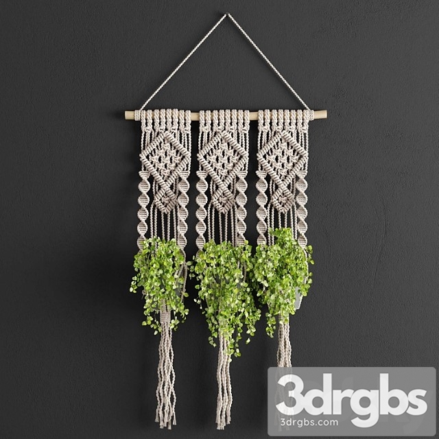 Macrame planter