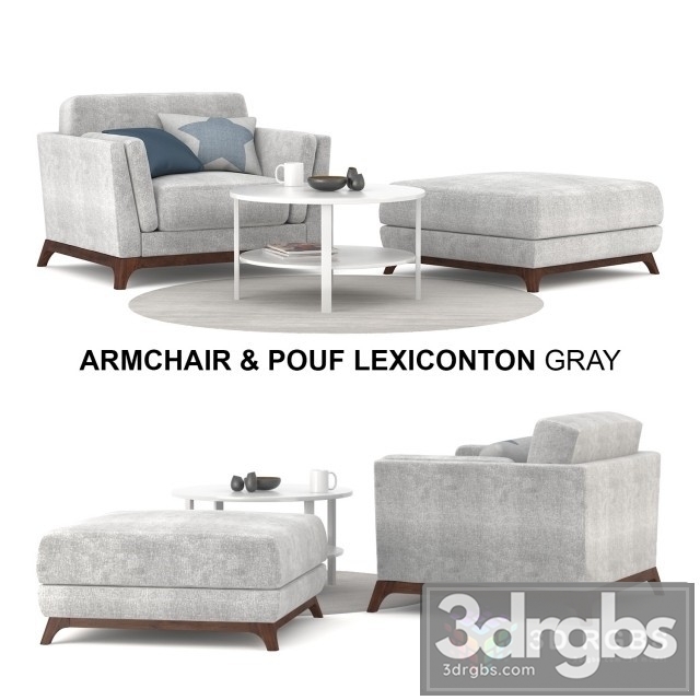 Pouf Lexiconton Gray Armchair