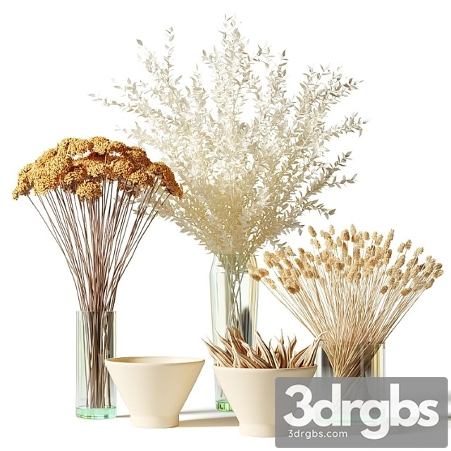 Bouquets of dried flowers in glass vases - set 2