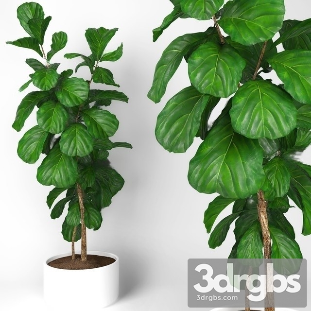 Nearly Natural Artificial Fiddle Leaf Tree