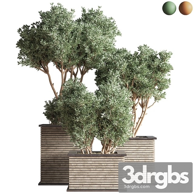 Outdoor Plants Tree 22