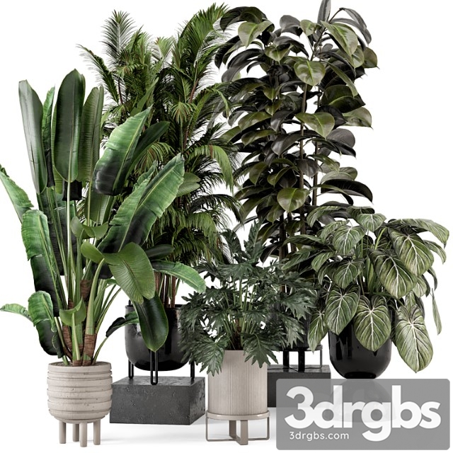 Indoor Plants In Ferm Living Bau Pot Large Set 740