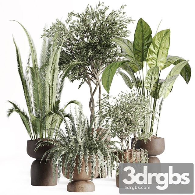Indoor Plants In Vase 002 7