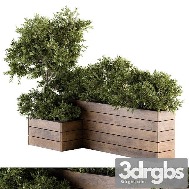 Outdoor Plants Tree in Wood Box Set 154