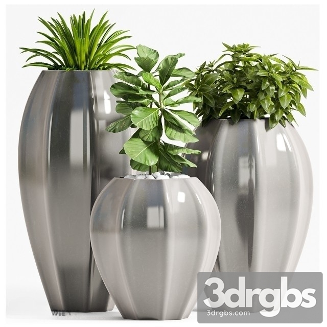 Plant Set 70