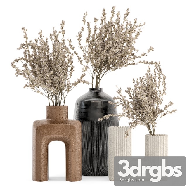 Dry plants bouquet collaction in concrete pot - set 358