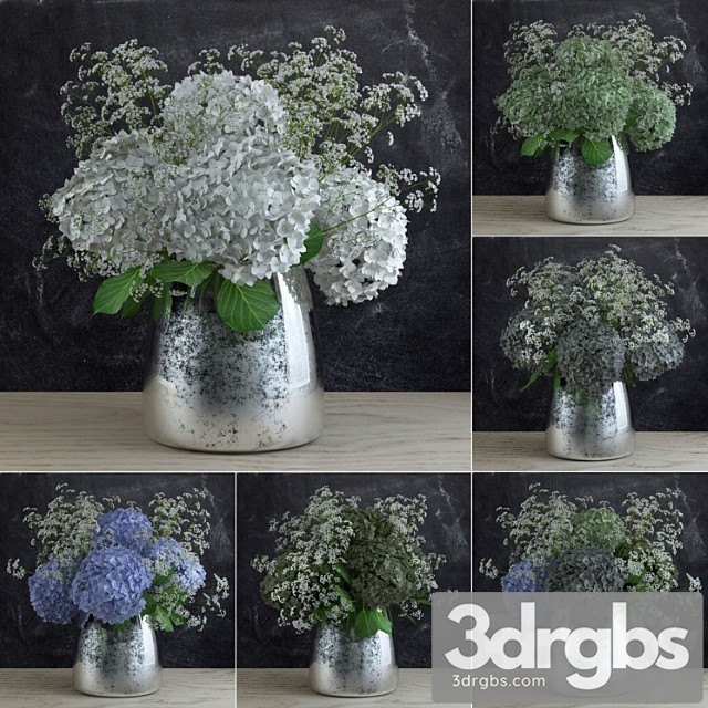 Bouquet Of Gypsophila With Hyndrangeas 1