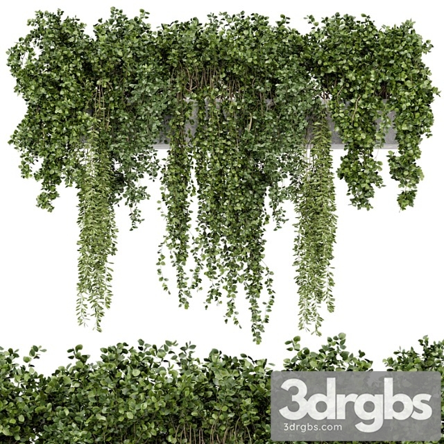 Hanging plants in rusty concrete pot - set 353