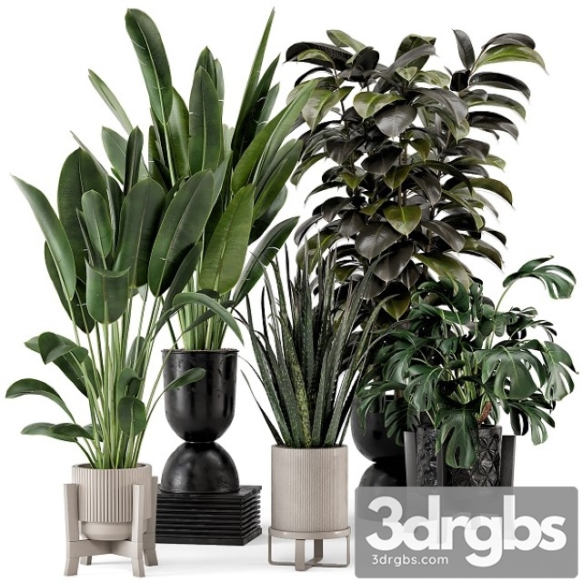 Indoor Plants in Ferm Living Bau Pot Large Set 583