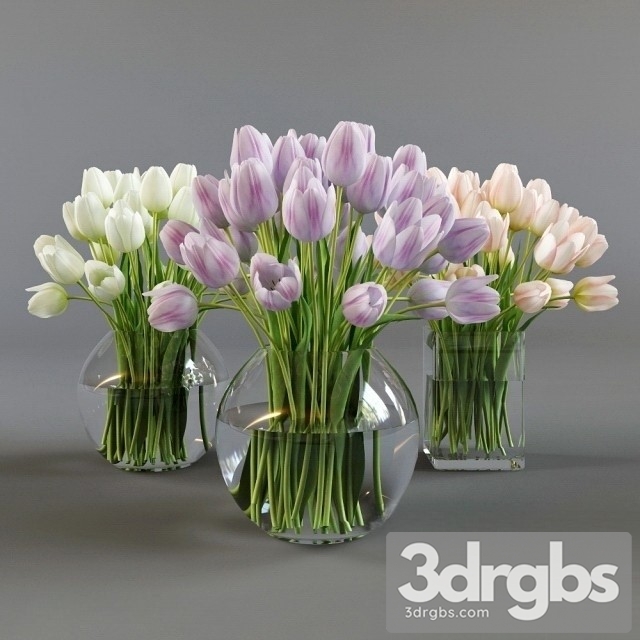 Download Three Vases Tulips model - 3DRGBs