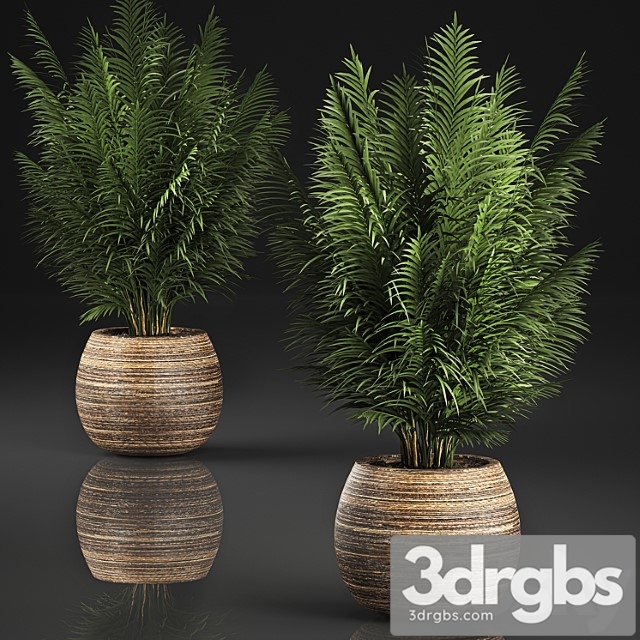 Beautiful Decorative Small Lush Palm Bush In Basket 828