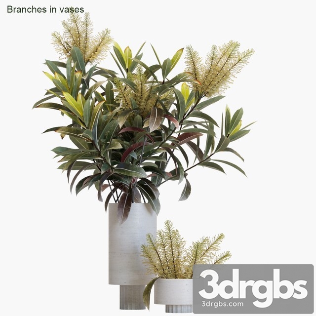 Branches in Vases 12