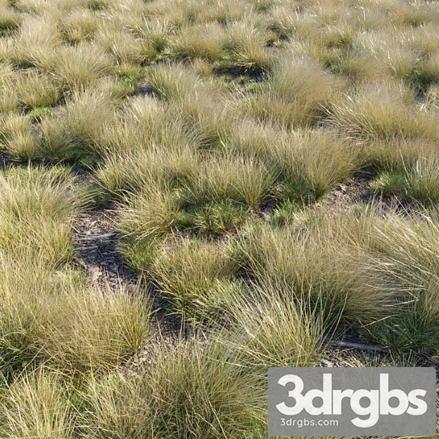 Eskdale grass