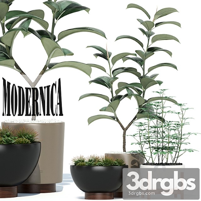 Plants collection 73 modernica pots