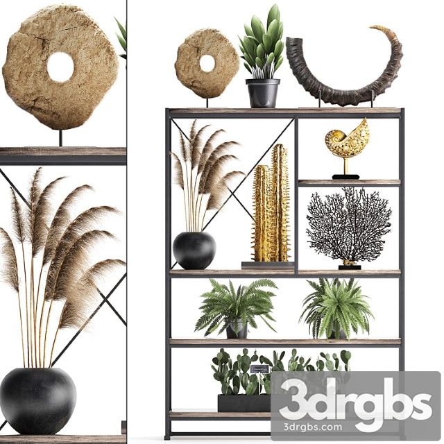 Decorative set 14. decor shelf, tusk, pampas grass, dried flower, coral, cactus, fern, rack, loft decor