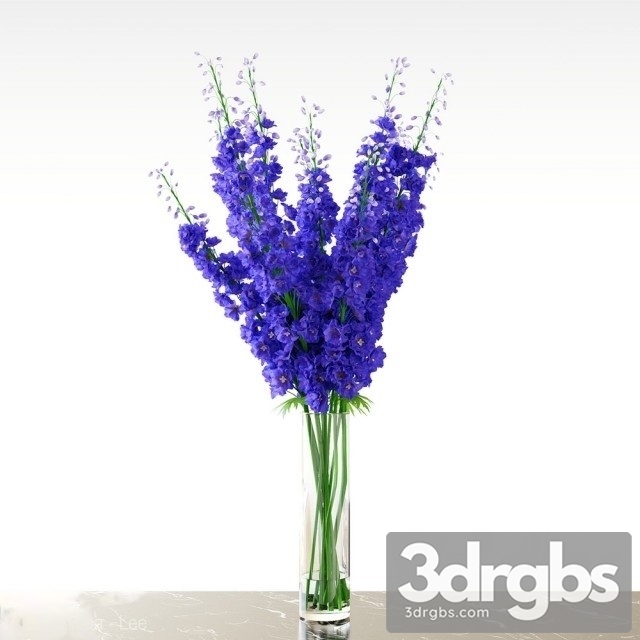 Delphinium Blue