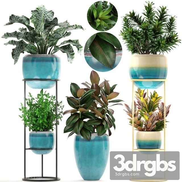 Indoor Plant Set 24
