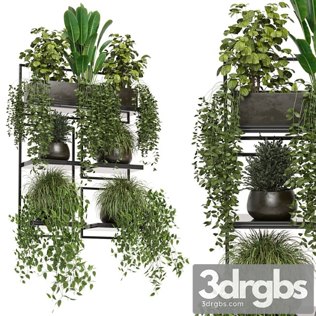 Indoor plants in rusty concrete pot on metal shelf - set 207