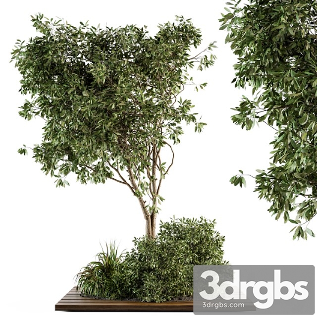 Garden set bush and tree - garden set 05