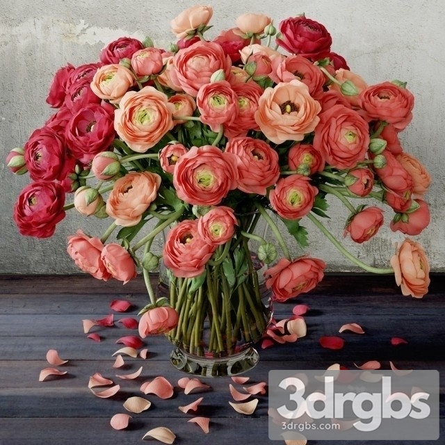 Ranunculus Bouquet