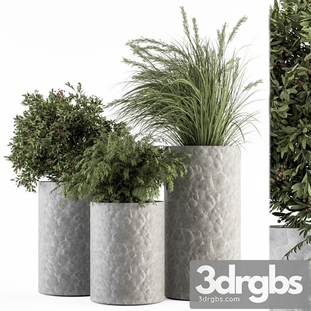 Outdoor Plant Set 287 Plant Set In Concrete Pot