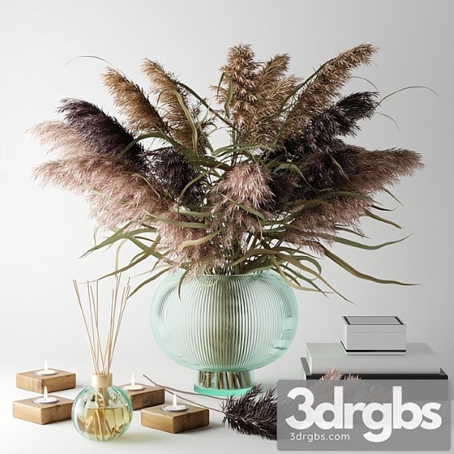 Decorative set Bouquet of dry grass in a glass vase 2