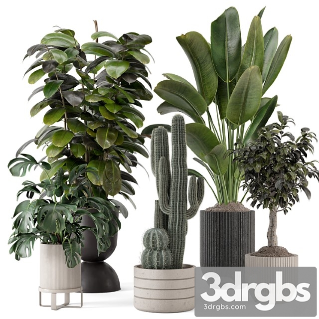 Indoor plants in ferm living bau pot large - set 1220