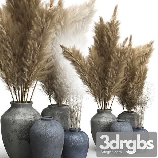 Decorative Set of Clay Vases and Pampas Grass