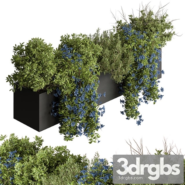 Hanging plant - outdoor plants 503