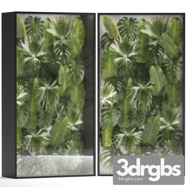 Banana Palm Branches And Fan Palm Leaves In A Niche Behind A Translucent Stack 70