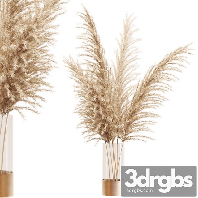 Dried Flower Pampas Grass in Glass Gold Vase