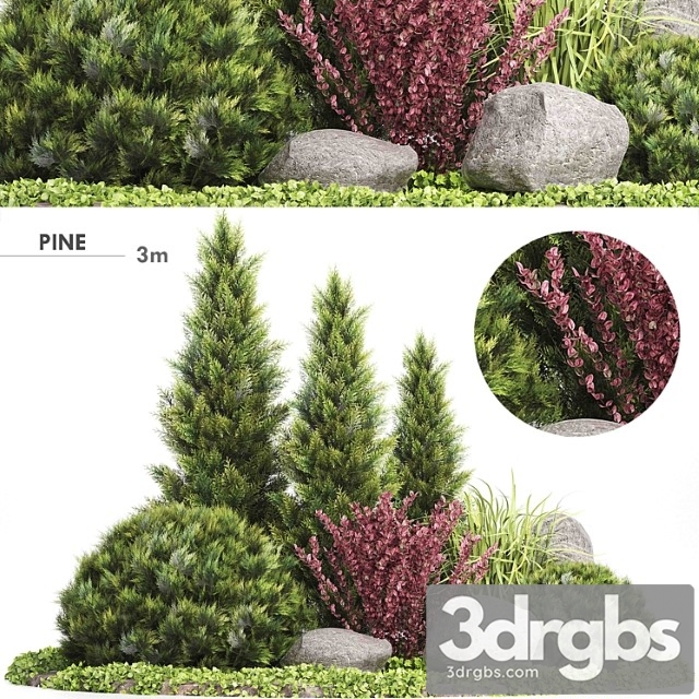 Set plants 223 - outdoor garden