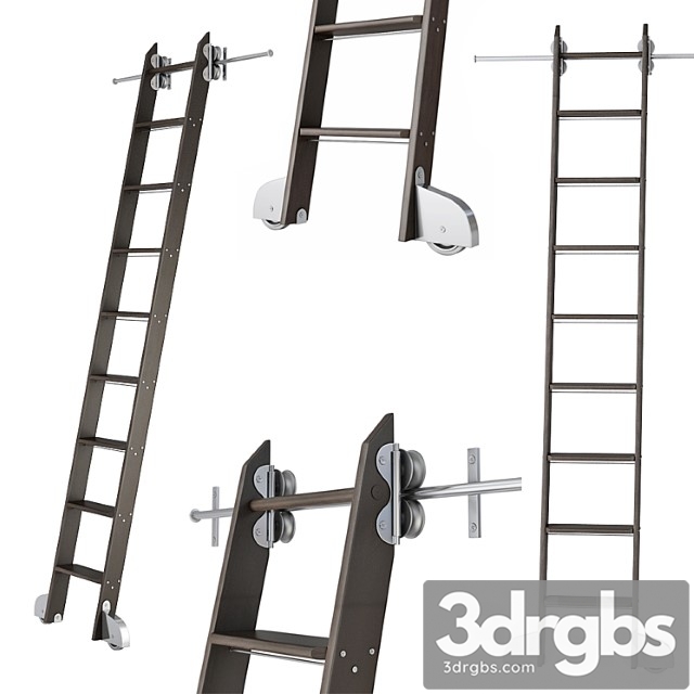 Ladder for home library