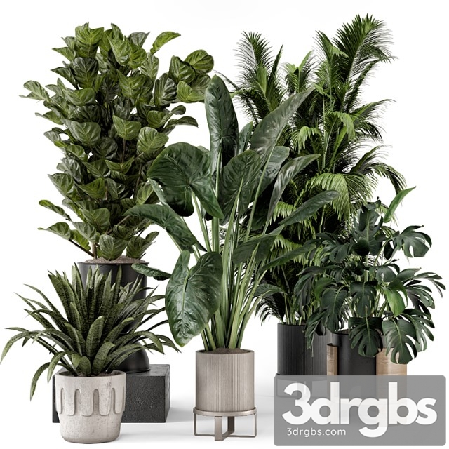 Indoor Plants in Ferm Living Bau Pot Large Set 1188