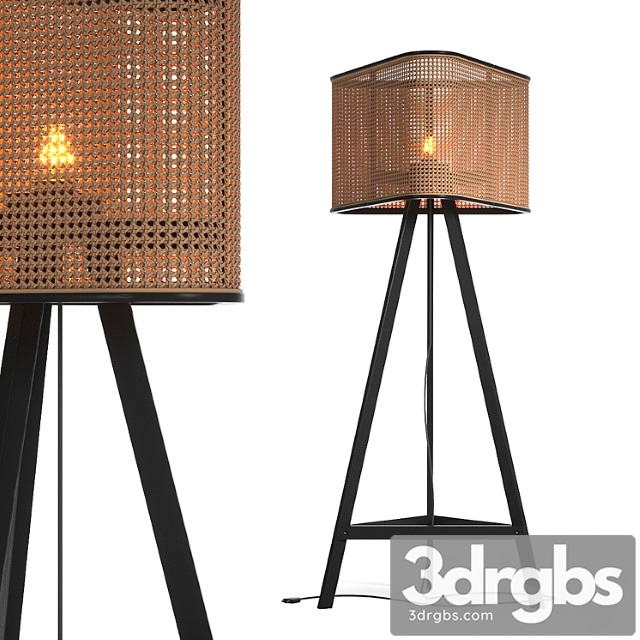 Cane Floor Lamp