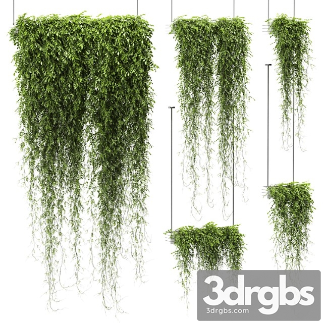 Plants in hanging pots v4. 5 models